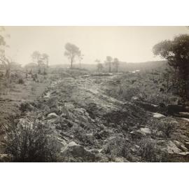 Construction continues at Baranbali Avenue,  Seaforth, 27th August 1947