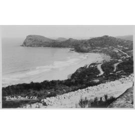 Whale Beach