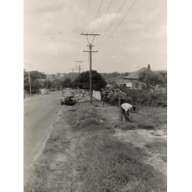 Frenchs Forest Road prior to footpath, Seaforth, 1954