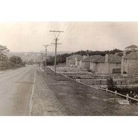 Frenchs Forest Road, Seaforth, April 1954