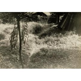 Fussell's land, North Harbour, Manly, 20th January 1938