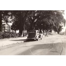 Gilbert Park trees, Manly, 27th August 1948