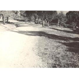 Gordon Street looking south, Balgowlah Heights, 29th June 1946