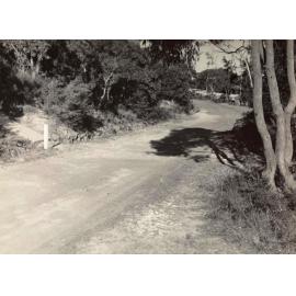 Gordon Street south east near Beatrice Street, Balgowlah Heights, 29th June 1946