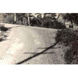 Gordon Street, corner Beatrice Street, Balgowlah Heights, 29th June 1946