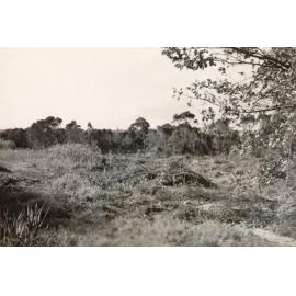 Ground which became Graham Reserve, Manly, c1950s