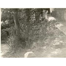 Gardens of house on Lauderdale Avenue, Fairlight, 12th March 1941