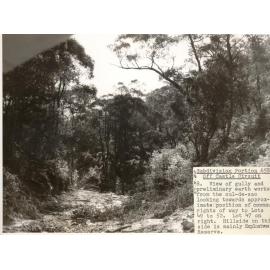 Gully at Castle Circuit, Seaforth, 27th September 1960