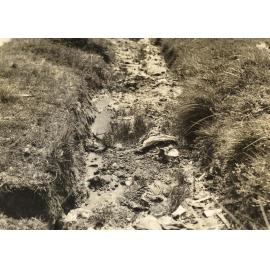 Gutter in Boyle Street, Balgowlah, 14th September 1937