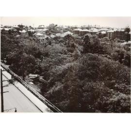 Ivanhoe Park in Manly, February 1952