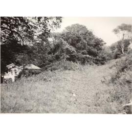 Ivanhoe Park, Manly, February 1952