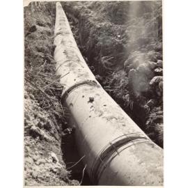 Kenneth Road 48 inch pipeline, Manly Vale, August 1954