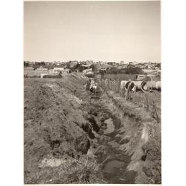 Kenneth Road laying 48 inch pipeline, Manly Vale, August 1954