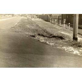 Kitchener Street looking west along north side, Balgowlah, 17th November 1939