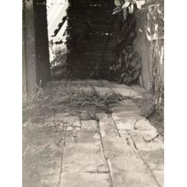 Lauderdale Avenue property, Fairlight, 12th March 1941