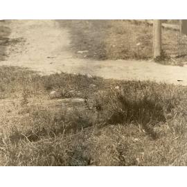 Lister Lane, corner Beach Street, Balgowlah, 7th January 1939