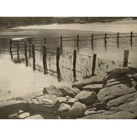 Little Manly Pool, tar deposits, Manly, 23rd April 1940