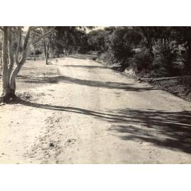 Looking north, Gordon Street, Balgowlah, 29th June 1946