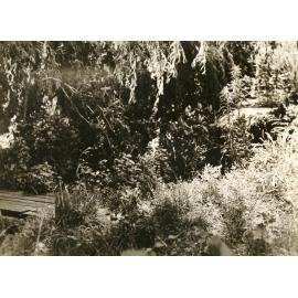 Lot 23 North Harbour, Balgowlah, 20th January 1938