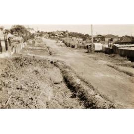 MacMillan Street, undeveloped verge, Seaforth, in October 1952