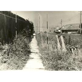 Marshall Street near Darley Road, Manly, 23rd January 1948