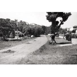 Monash Crescent, Clontarf, c1940s