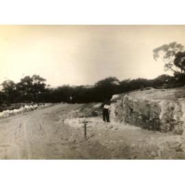 Montauban Avenue from Phillip Avenue, Seaforth, 16th May 1947