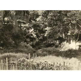 Mr Fussell's lot North Harbour, Balgowlah, 20th January 1938
