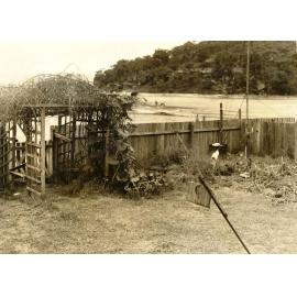Mr Stafford's yard, North Harbour, Balgowlah, 20th January 1938