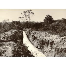New Street, Balgowlah Heights, September 1950