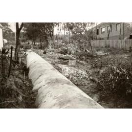 New Street, Balgowlah, on May 1950