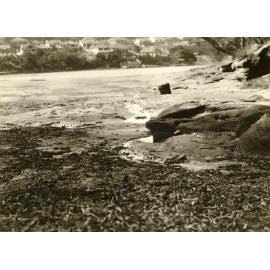 North Harbour from Falls, Balgowlah, 19th September 1936