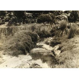 North Harbour Lot 22, Balgowlah, 20th January 1938