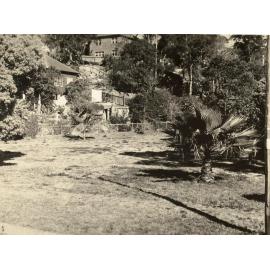 North Harbour Reserve, Balgowlah, 3rd September 1946