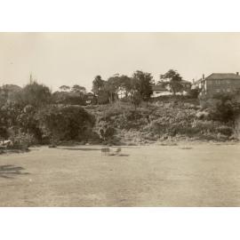 North Harbour Reserve, Balgowlah, June 1955
