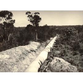 North of Hilder Road, Balgowlah Heights, September 1950