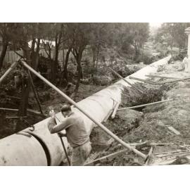 North of New Street, Balgowlah Heights, May 1950