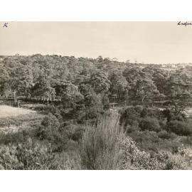 North Seaforth housing estate land, Seaforth, 30th June 1947