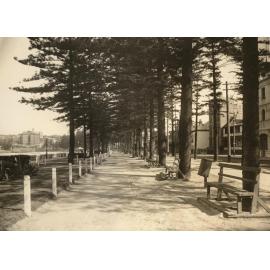 North Steyne reserve, Manly, 22nd October 1931