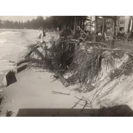 North Steyne seawall damage, felled pines, Manly, 28th June 1950