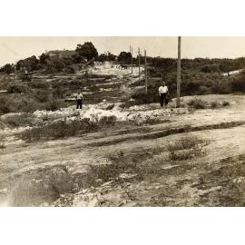 Peacock near Redman St, Seaforth, 26th January 1939