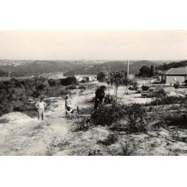 Peacock Street at Seaforth, September 1954