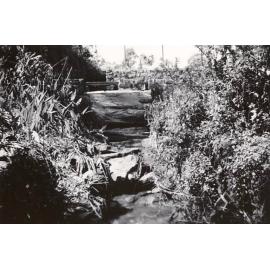 Sangrado Street watercourse, Seaforth, 24th September 1959