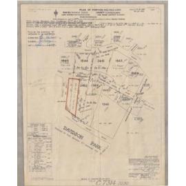Forestville Subdivision Plan, Arthur Street and Angophora Street