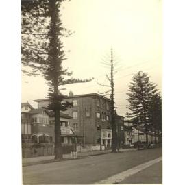 Ashburner Street, Manly, with pine trees, 1936