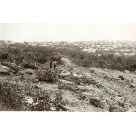Surveying Curban Street extension, Balgowlah Heights, July 1955