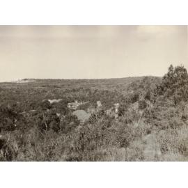 The Crown land south of Curban Street 2, Balgowlah Heights, July 1955