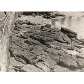 The rocks at South Steyne, low tide, Manly, 23rd February 1940