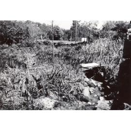 The Sangrado Street watercourse, Seaforth, 24th September 1959