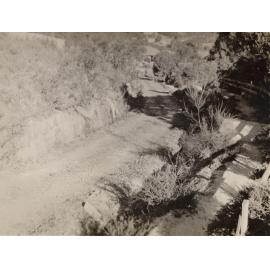 Tramway Road south to Harbourview Street, Balgowlah, 29th June 1946